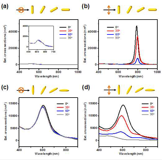 FDTD 시뮬레이션을 통하여 계산된 (a,b) Au nanorod (length 60 nm, dia. 20 nm), (c,d) Au nanodisk (dia. 60 nm, thickness 20 nm)의 빛의 입사 방향 및 편광 방향별 extinction curves