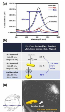 (a) Au nanodisk와 Au nanorod의 흡광 “단면적” 비교, (b) Au nanodisk와 Au nanorod의 평균 흡광 “효율” 비교, (c) 마우스 안구 내에 주입된 Au nanodisk의 광간섭 단층 이미지