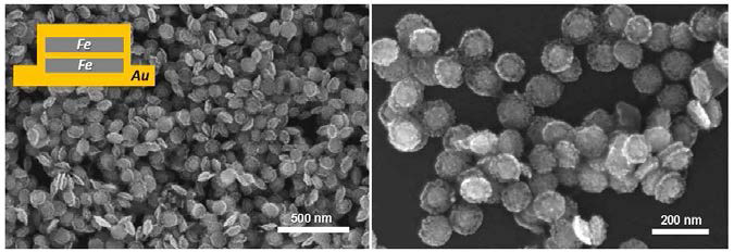 합성된 Au/Fe multilayered nanodisk의 SEM 이미지