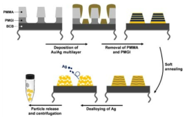 Porous Au nanodisk 합성을 위한 공정 모식도