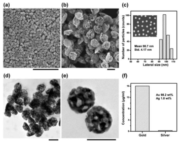 합성된 porous gold nanoparticle의 (a,b)SEM, (d,e)TEM 이미지, (c)크기분포 및 (f)원소 비율. Scale bar = (a) 1 μm, (b,d,e) 100 nm