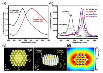 (a)실험적으로 측정된 (검은색)non-porous gold nanoparticle과 (빨간색) porous gold nanoparticle의 absorbance curve, (,b) 시뮬레이션을 통하여 계산된 absorbance curve. (c) 나노입자 내부의 국소전자기장 계산을 위하여 사용된 모델 구조 및 (d) 계산된 전자기장 분포