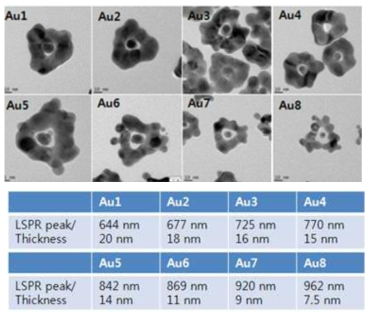 기존 프레임 구조와 다른 형태의 금 나노입자 합성 및 특성 분석