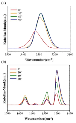 형성된 polyurea박막의 (a) N-H와 (b)amide 작용기에 대한 편광 적외선 스펙트럼