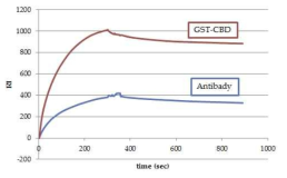 His6-GST-CBD와 항체의 반응성 비교