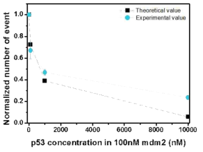 p53TAD와 농도 변화에 따른 p53TAD-mdm2 상호작용 분석 및 이론값과의 비교 결과