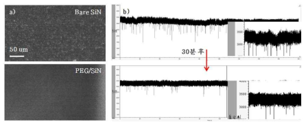 (a) 일반 소자(위)와 PEG200을 진공 증착한 나노이온소자(아래)에서 흡착된 DNA의 형광 신호를 형광 현미경으로 관찰한 결과. (b) PEG200이 증착된 나노이온소자에서 측정한 이온 전류가 30분 후에도 같은 수준으로 유지되는 모습