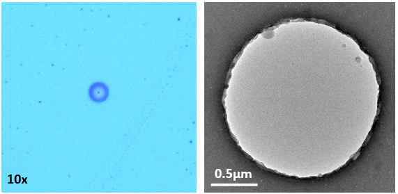 Polyurea membrane 형성 이후 2um hole 부분의 광학 이미지(좌), TEM 이미지(우)