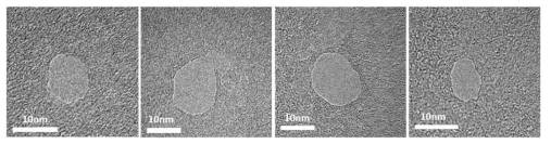 polyurea membrane에 형성된 nanopore TEM 이미지