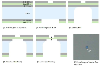Transfer free membrane 제작 공정도