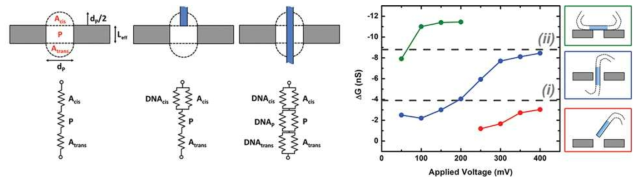 전기동역학적 등가회로를 이용한 DNA translocation 역학 분석 (Carlsen et al. ACS Nano. 2014)