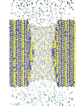 분자동역학 시뮬레이션에 사용된 나노포어의 구조