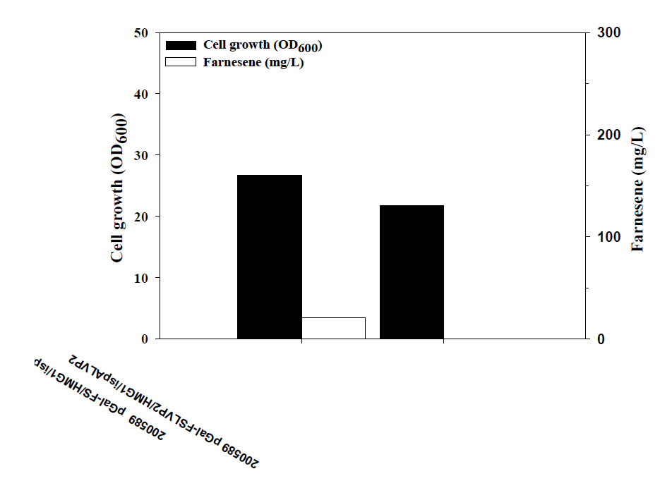 VP2를 융합 발현시키는 플라스미드를 보유한 S. cerevisiae ATCC200589 균주에서의 farnesene 생산성 비교