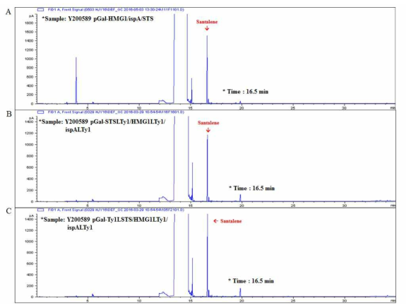 GC를 이용한 santalene 생합성 관련 유전자들을 과발현하는 S. cerevisiae ATCC200589에서 santalene 생산 분석