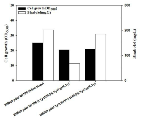 Ty1을 융합 발현시키는 플라스미드를 보유한 S. cerevisiae ATCC200589 균주에서의 bisabolol 생산성 비교