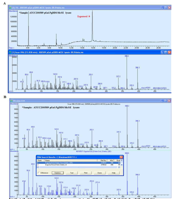 GC-MS를 이용한 dammarenediol-II 생합성 관련 유전자들을 개별 발현하는 S. cerevisiae ATCC200589 lysate에서 dammarenediol-II 생산 분석