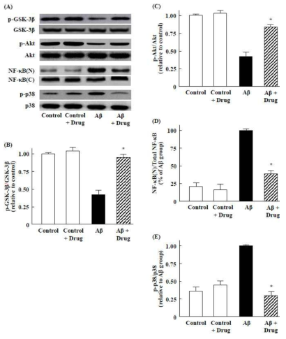 Effects of thiazole derivative drug on Aβ-induced degradation of β-catenin and GST-3β in primary cultured cortical cells