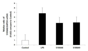 Increased mRNA expression of S100A8 & S100A9 by S100A8 induced BV2 cells