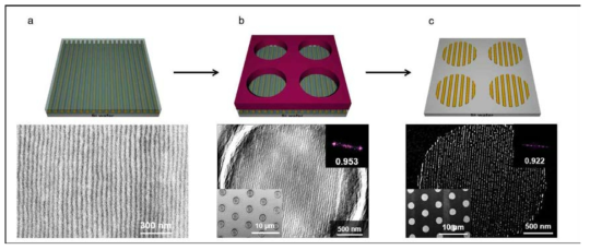 전단응력을 가한 블록공중합체 박막에 포토리소그래피 기술을 접목시키는 기술의 각 단계를 보여주는 순서도. (a) 전단응력이 가해진 후 금속 전도체를 도입시킨 후의 모습을 보여주는 그림과 SEM 이미지. (b) 블록공중합체 박막 위에 곧 바로 포토리소그래피 공정을 거친 모습을 보여주는 그림과 SEM 이미지. (c) 에칭 공정, 리프트-오프 공정을 거친 후 최종적으로 얻어진 패턴의 모습을 보여주는 그림과 SEM 이미지