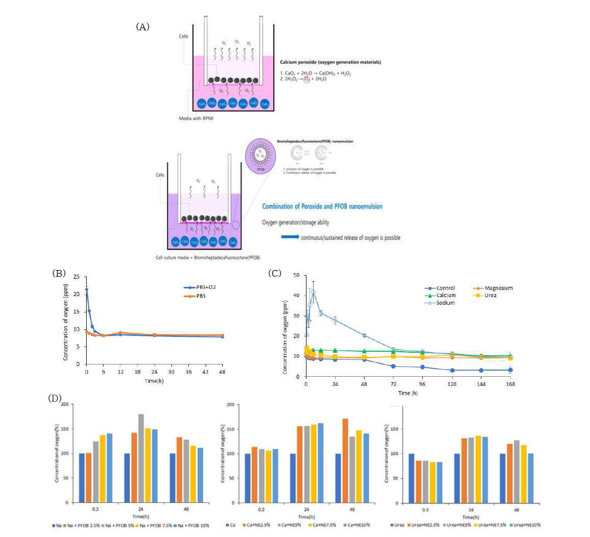 산소 발생 및 전달능 강화 나노시스템 개발. (A) 나노시스템 모식도; (B) PBS 내 산소농도 및 PBS 산소 봉입시 방출률; (C) 다양한 산소 발생 물질 (calcium peroxide, sodium percarbonate, magnesium peroxide, urea peroxide)의 배양액내에서 산소생성특성 평가; (D) calcium peroxide, sodium percarbonate 및 urea peroxide의 배양액 및 다양한 농도의 NE 배양액 혼합액에서의 시간에 따른 산소농도