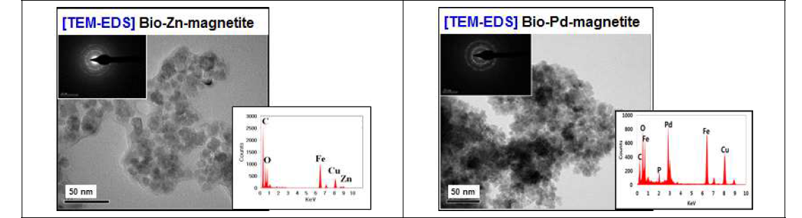 합성한 Bio-Zn-magnetite의 TEM-EDS 분석결과(좌), 합성한 Bio-Pd-magnetite의 TEM-EDS 분석결과(우)