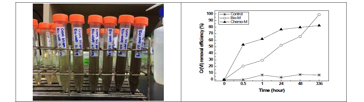 저독성 생나노자철석(Bio-magnetite)을 이용한 크롬 오염수의 정화 : 실험 사진(좌), 나노입자 주입량(0-6 g/L)에 따른 정화 효율(우)