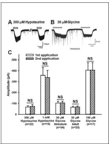 Responses to repeated application