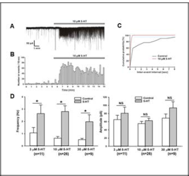 Effect of 5-HT on spontaneous postsynaptic currents (sPSCs)