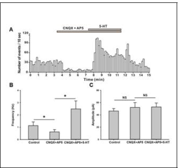 Effect of 5-HT on sPSCs in the presence of CNQX and AP5 (n=10)