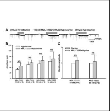 Effect of MDL-72222 on hypotaurine-induced responses
