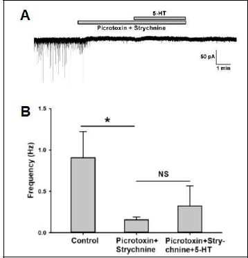 Effects of 5-HT on sPSCs in the presence of picrotoxin and strychnine (n=7)