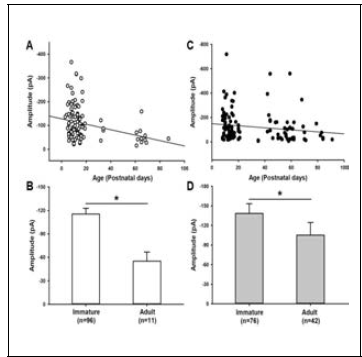 Scatter plots showing response profiles to hypotuarine (○; n=111) and glycine (●; n=122) over the 90 postnatal days