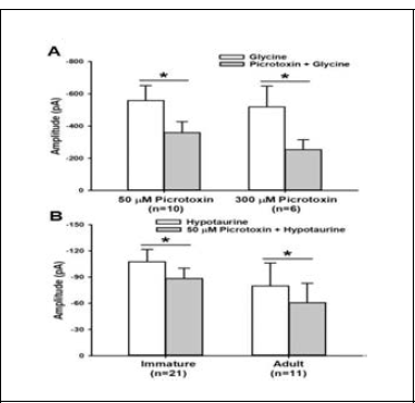 Differences in effects of low and high concentrations of picrotoxin on hypotaurine- or glycine-induced responses between the two age groups