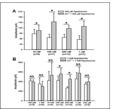 Effects of different concentrations of Zn2+ on hypotaurine-induced responses
