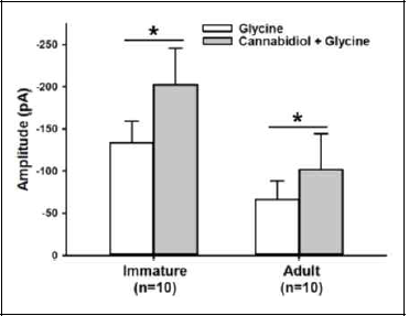 Difference in effect of cannabidiol on glycine-induced responses between the two age groups