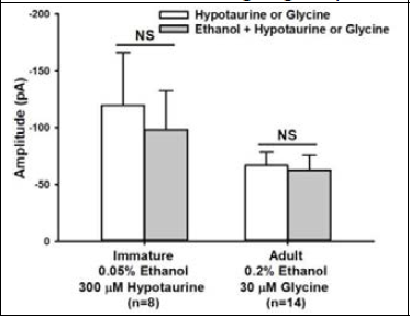 Difference in effect of ethanol on hypotaurine- or glycine-induced responses between the two age groups