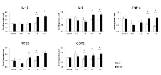 당뇨쥐에서 소음에 의한 다양한 inflammatory marker의 변화가 관찰됨