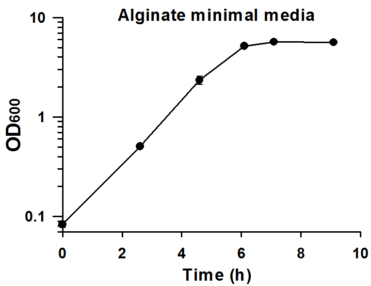 알긴산 최소배지에서의 신규 미생물 성장 곡선