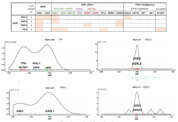 secondary AML transformation