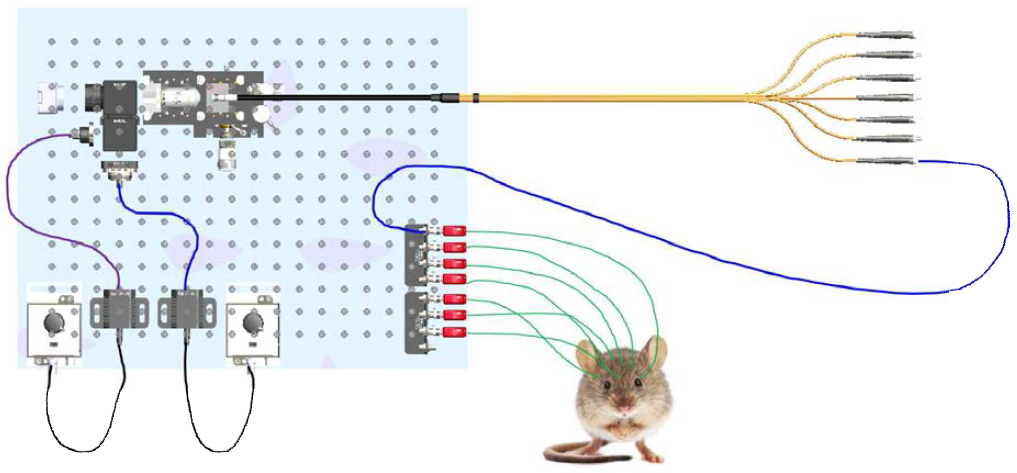 Simple diagram for MOF system