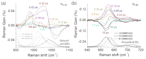 Alizarin 의 양성자 이동반응에 따른 DMSO 진동모드의 변화 (펨토초 유도라만 스펙트럼과 DMSO:H2O = 1:9, 3:7, 5:5 (binary mixture) 의 바닥상태 라만스펙트럼의 비교); (a) ν(S=O) 와 (b) ν(CSC) 진동모드