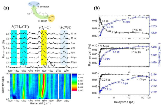 (a) DMSO 용액에서의 DCM 염료의 펨토초 유도라만 분광스펙트럼 및 (b) 다양한 진동모드의 들뜬상태 동력학 정보