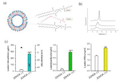 a) 2OHOA 삽입 리포좀의 모식도 및 b) 2OHOA삽입에 의한 리포좀 구성 PC의 상전이온도 변화 c) 세가지 난용성 약물의 탑재 농도 변화