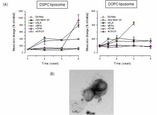 (A) 오메가-3-지방산 삽입 리포좀의 분산 안정성 비교 (B) ALA삽입 리포좀의 2주 보관 후 리포좀의 TEM이미지