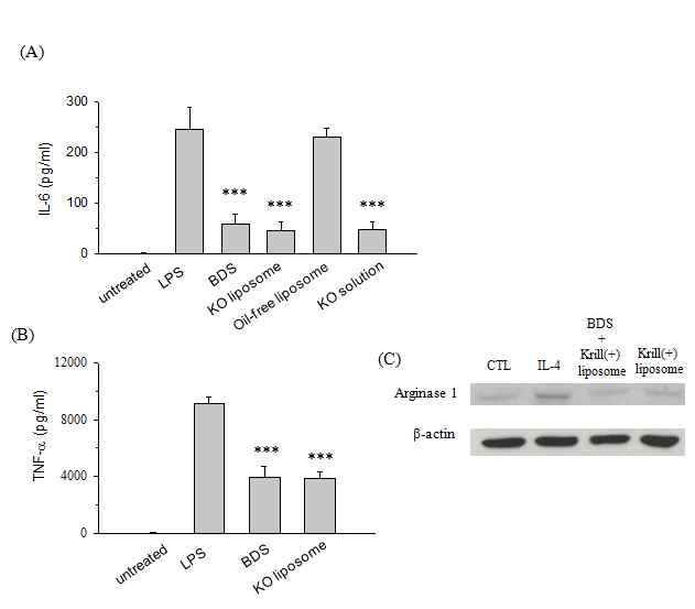 오메가좀이 전염증성 사이토카인 (a) IL-6 (b) TNF-α생성 및 (B) 골수유래 세포에서의 arginase I 발현에 미치는 영향