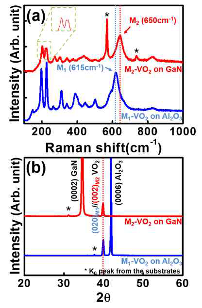 사파이어 기판와 GaN기판위에 성장한 박막의 Raman Spectra 및 XRD 결과