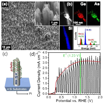 (a) SEM images of Si NW arrays with deposited FL-GeAs nanosheets, and (b) HAADF STEM image and its EDX mapping of Ge and As, and the corresponding EDX spectrum. (c) Schematic diagram for the photoanode consisted of n-type Si NWs deposited with p-type FL-GeAs nanosheets. (d) Current density vs. potential (vs. RHE) for p-GeAs/n-Si photoanodes measured in a 0.1 M Na2SO4/0.25M NaOH (pH13) electrolyte under AM1.5G (100mWcm–2) condition