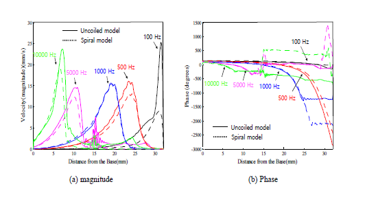 Comparison of BM motions between spiral and uncoiled models