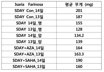 가루꽃동충하초 균사체 평균 무게