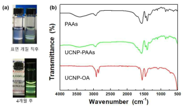 PAAs 표면 개질된 코어/쉘/쉘 구조의 upconversion 나노형광체 수용액 사진 및 FT-IR 스펙트럼